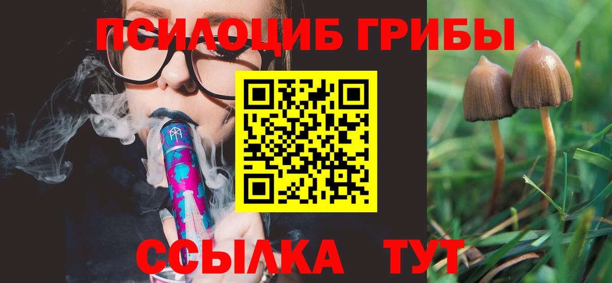 Галлюциногенные грибы MAGIC MUSHROOMS  Вход с VPN  Ангарск 
